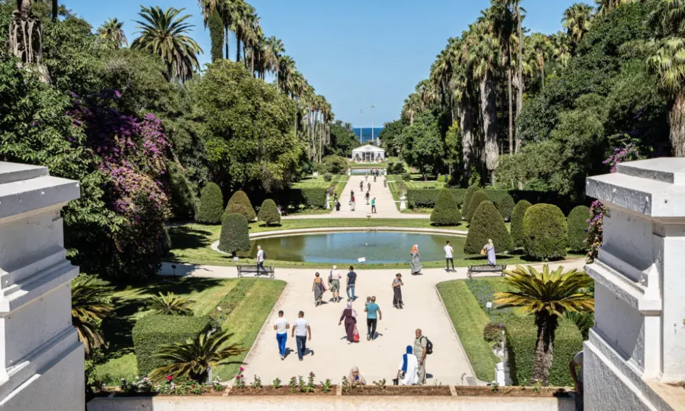 Things to Do in Algiers