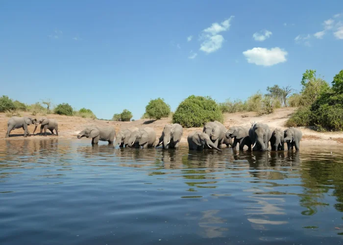 Attractions in Botswana