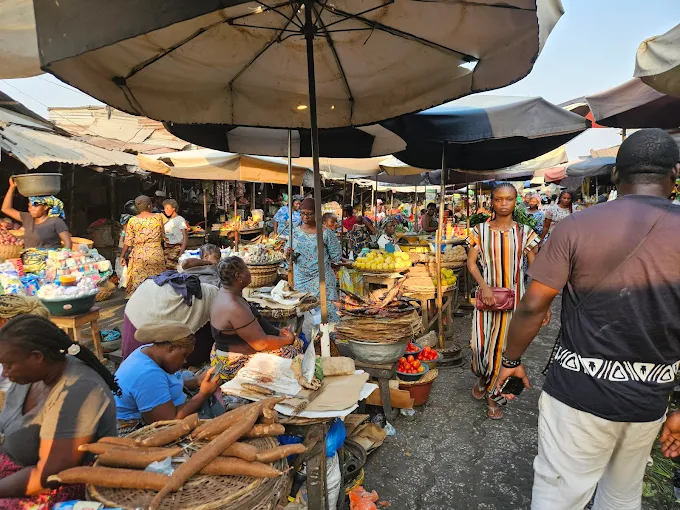 Things to Do in Benin