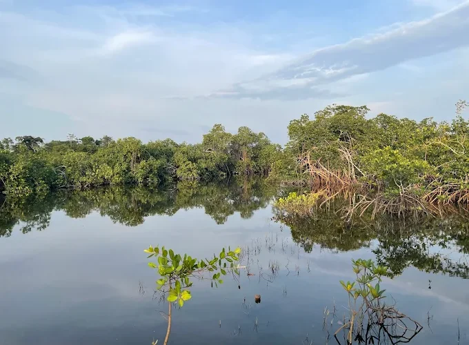 Things to Do in Gabon