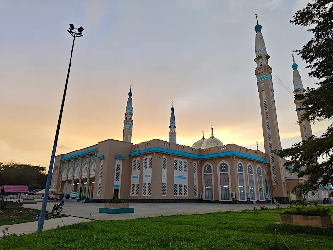 Things to Do in Guinea