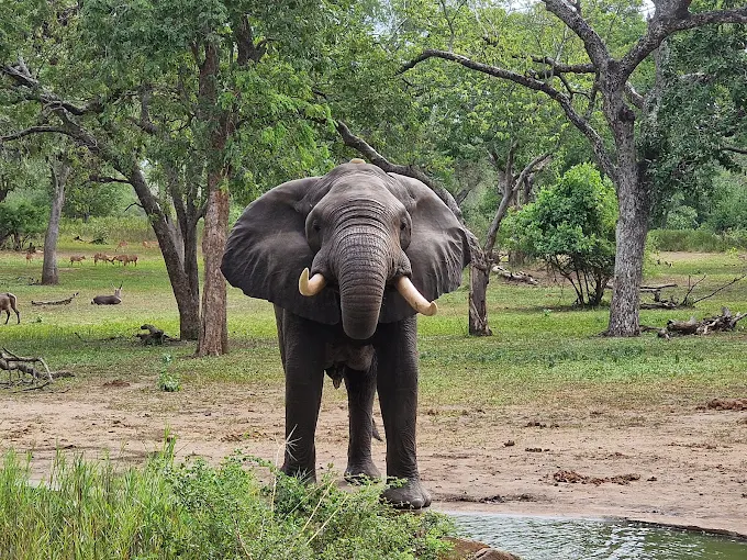 Africa Travel Itinerary