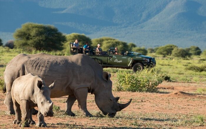 Things to Do in South Africa