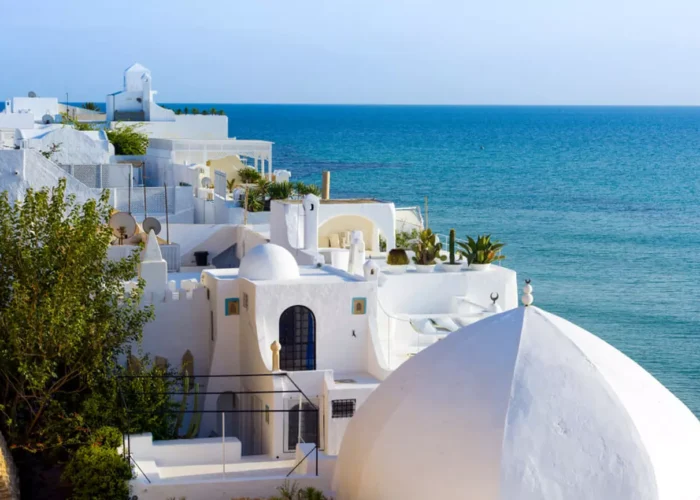 Things to Do in Tunisia