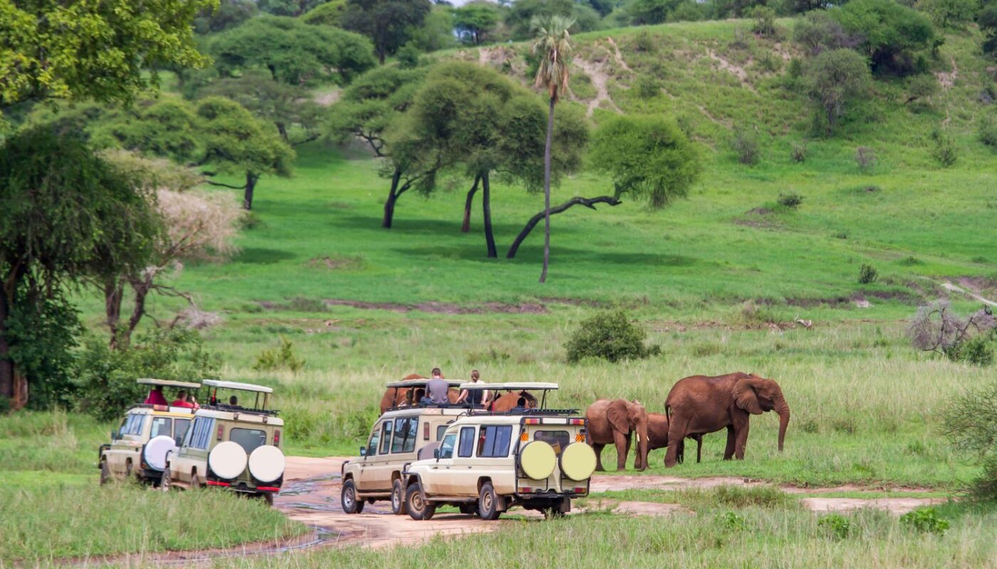 Things to Do in Zambia