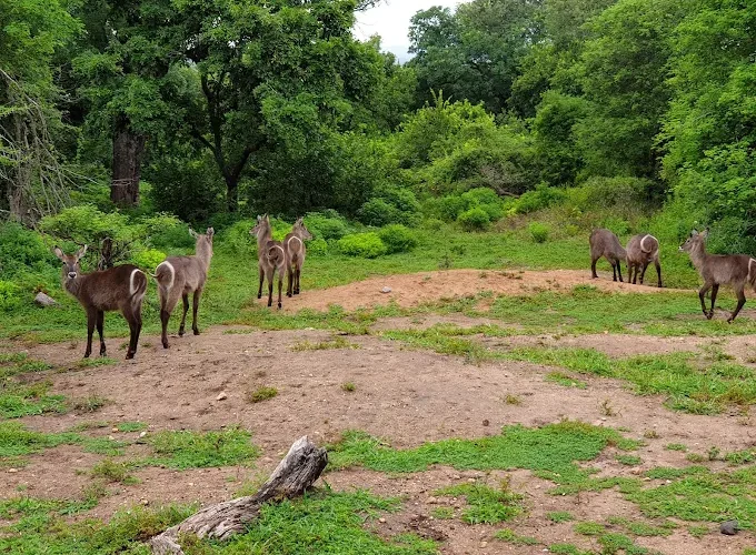 Best Time to Visit Africa