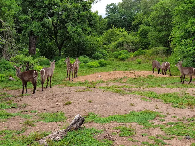 Best Time to Visit Africa