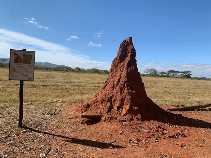 Things to Do in Eswatini