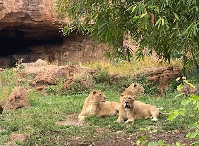 Things to Do in Mali