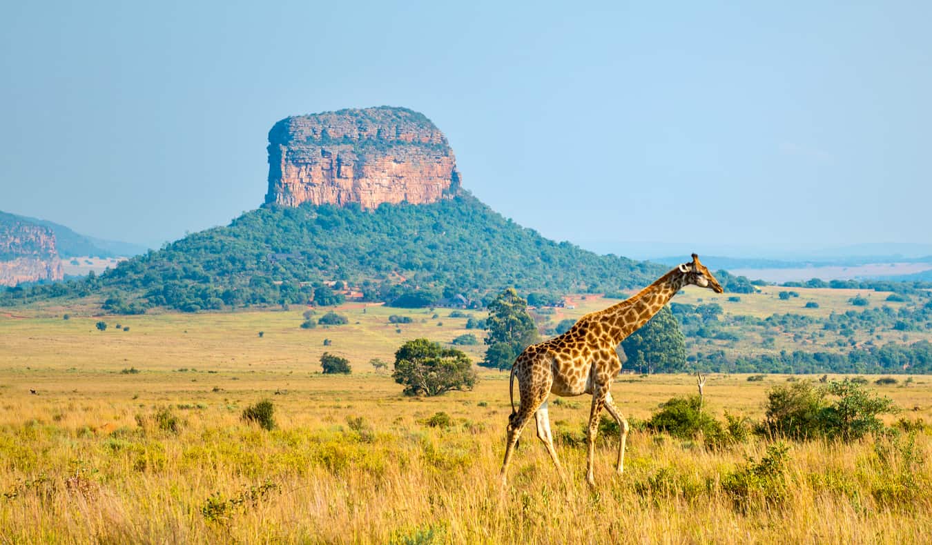 Best Things to Do in Africa