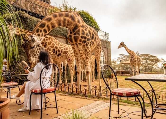 Top 25 Tourist Attractions in Africa You Must See