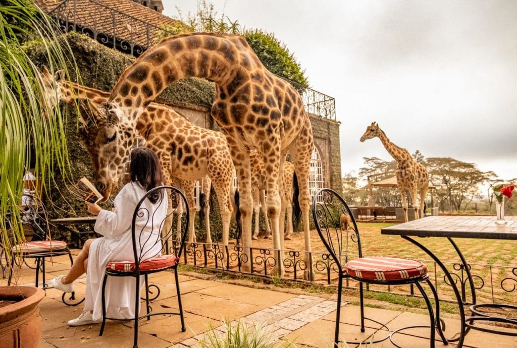 Top 25 Tourist Attractions in Africa You Must See