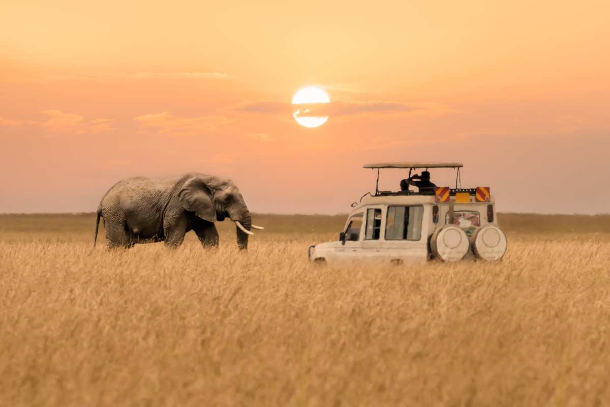 Africa Packing List for Safari and Travel