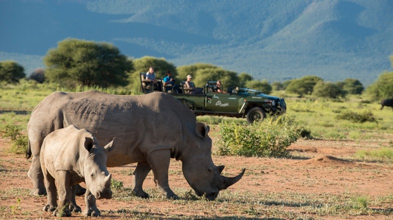 Top Places to Visit in South Africa for First-Time Visitors