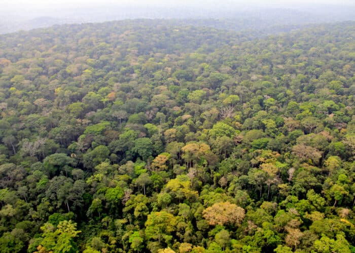 Africa Travel Checklist: What to Prepare Before You Go