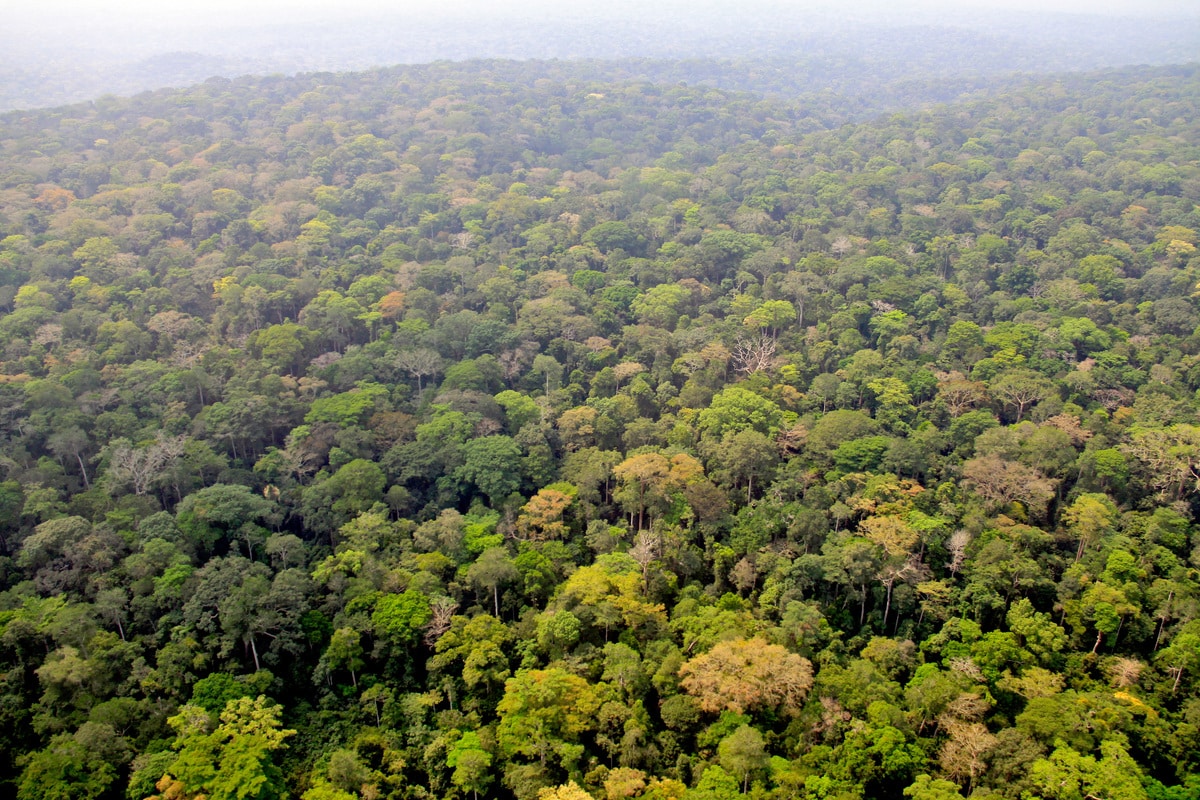 Africa Travel Checklist: What to Prepare Before You Go