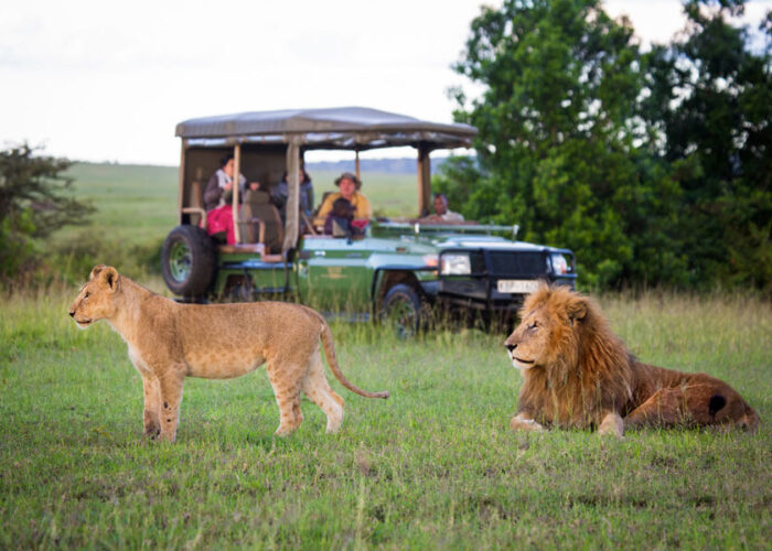 Kenya vs Tanzania Safari: Which is Better?
