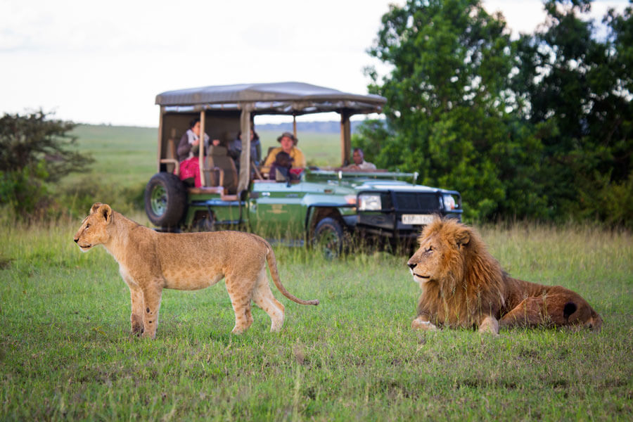 Kenya vs Tanzania Safari: Which is Better?