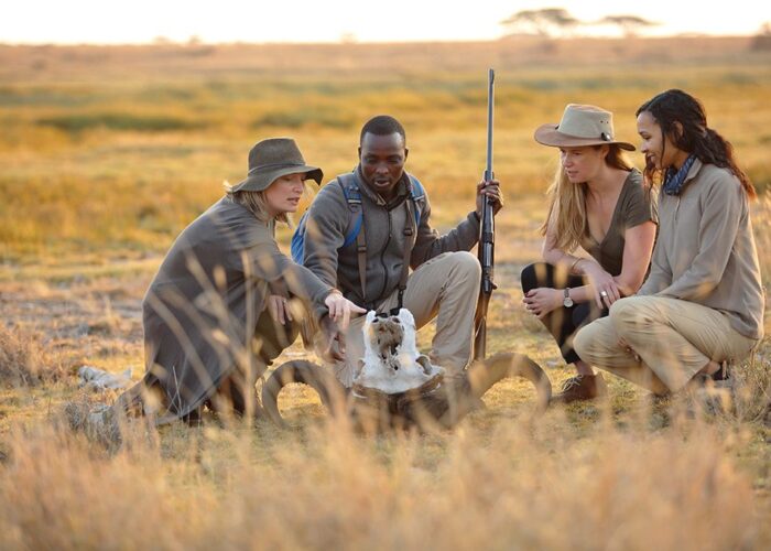 Cheapest Safari Destinations in Africa