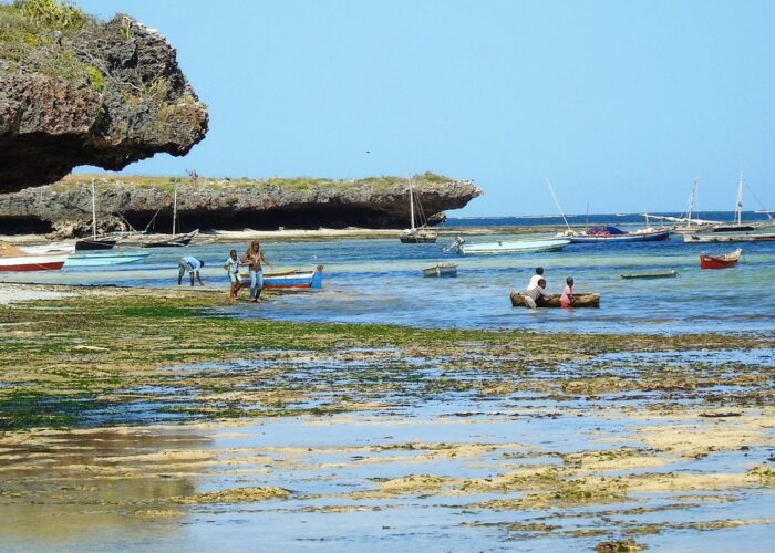 Safest Countries to Visit in Africa