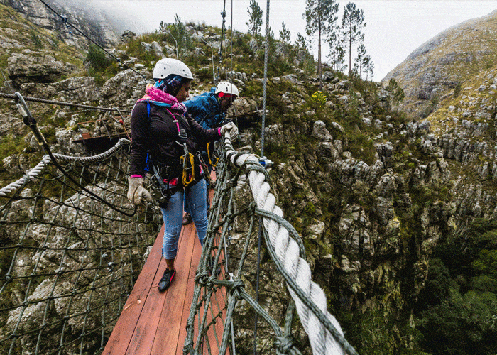 South Africa Travel Guide: Cape Town, Safari and Wine Routes