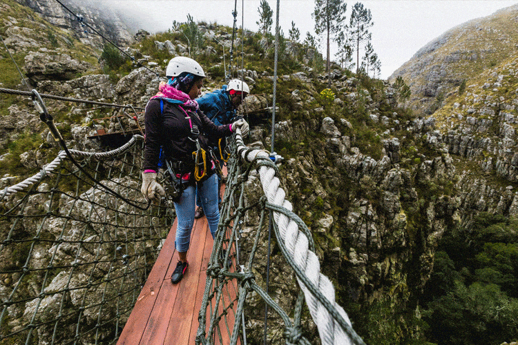 South Africa Travel Guide: Cape Town, Safari and Wine Routes