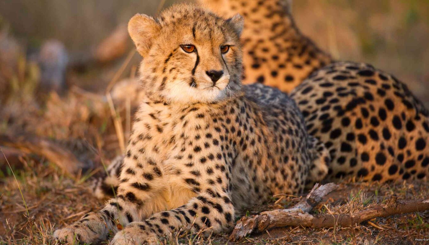 Africa Travel Budget Guide (Backpacker to Luxury)