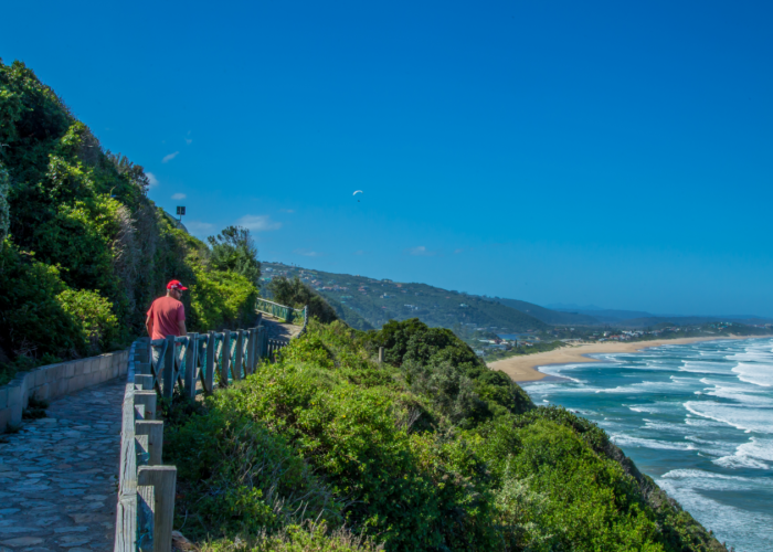 Africa Travel Insurance Guide