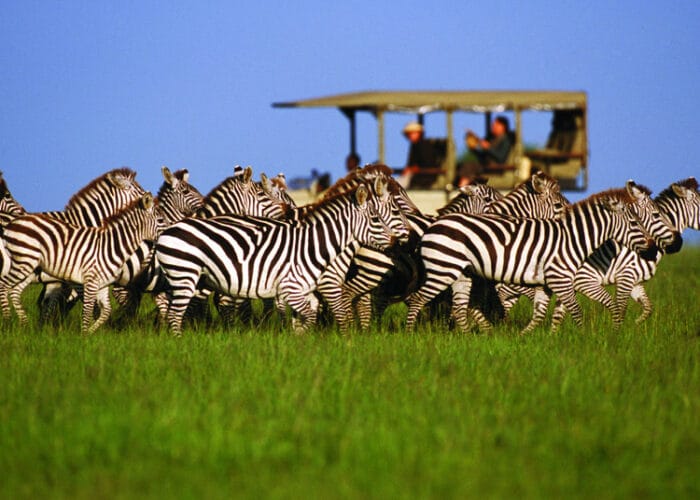 Best Tanzania Tours and Safaris for First-Time Visitors