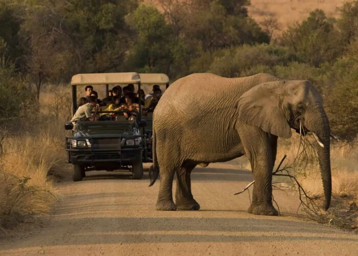 Luxury African Safari Packages All Inclusive