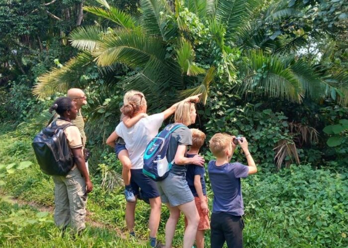 How to Book an African Safari Step by Step (Without Mistakes)