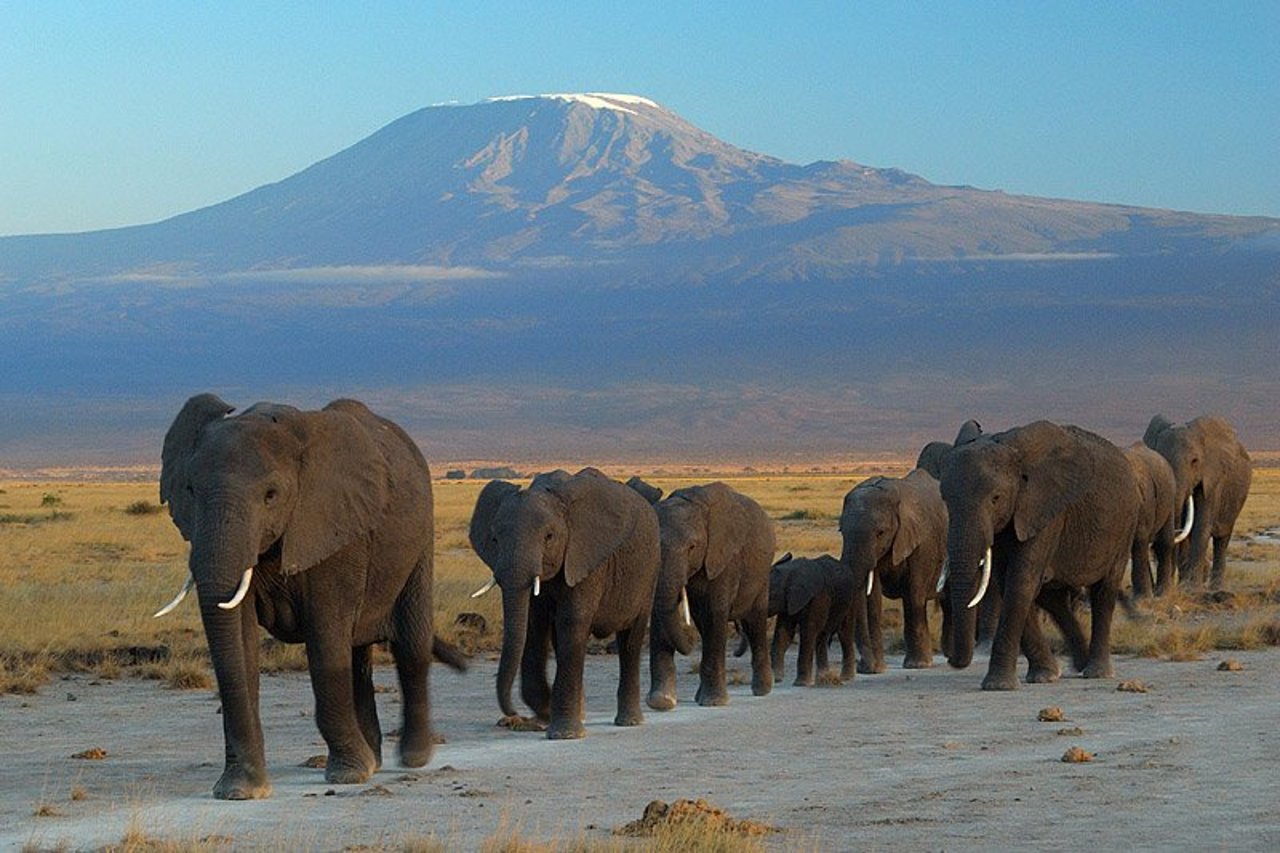 Amboseli safari landscape with elephants and scenic Kenya views