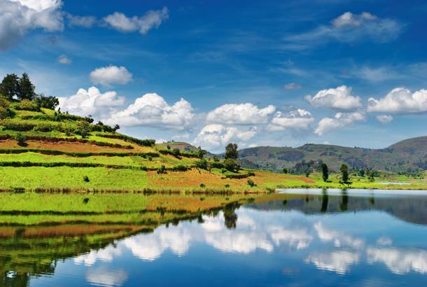 Uganda travel planning concept with scenic safari and forest travel atmosphere