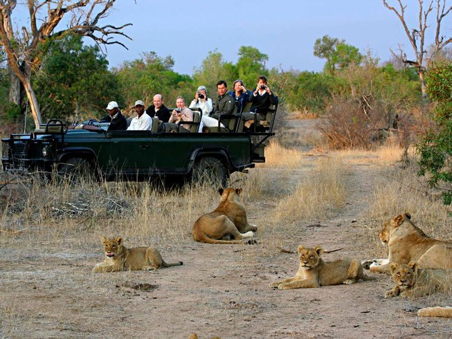 Budget safari in South Africa with affordable wildlife travel atmosphere