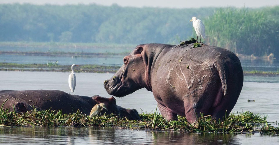 Custom Burundi tours