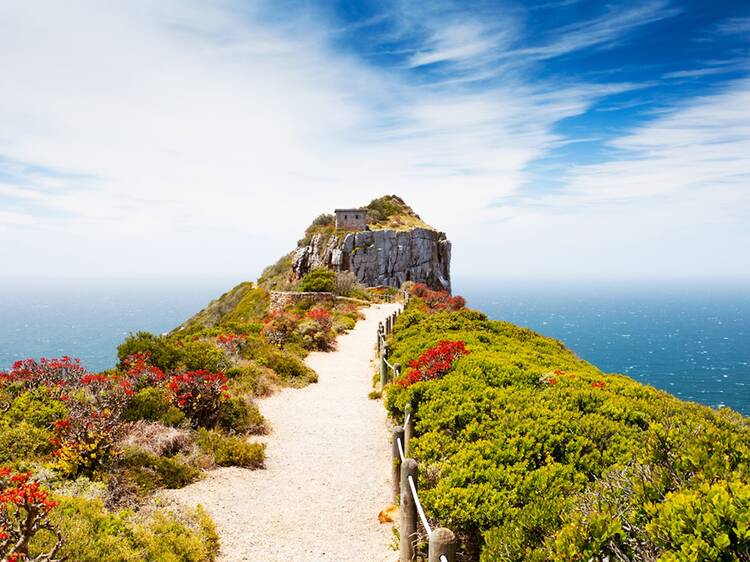 Cape Town travel scene with mountain, coast, and city views