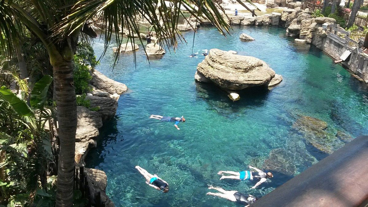 Durban travel scene with beach, skyline, and coastal city atmosphere