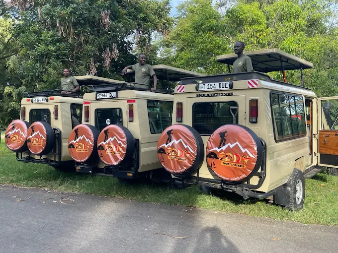 Eddy Tours and Safaris safari experience in Tanzania