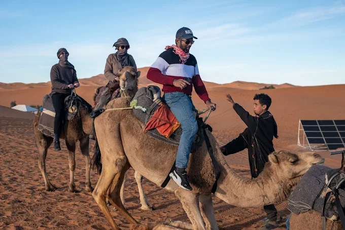 Morocco desert experience with camels