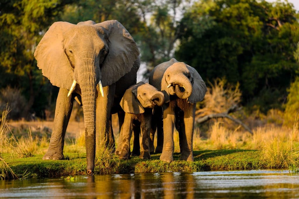 Kruger National Park safety guide