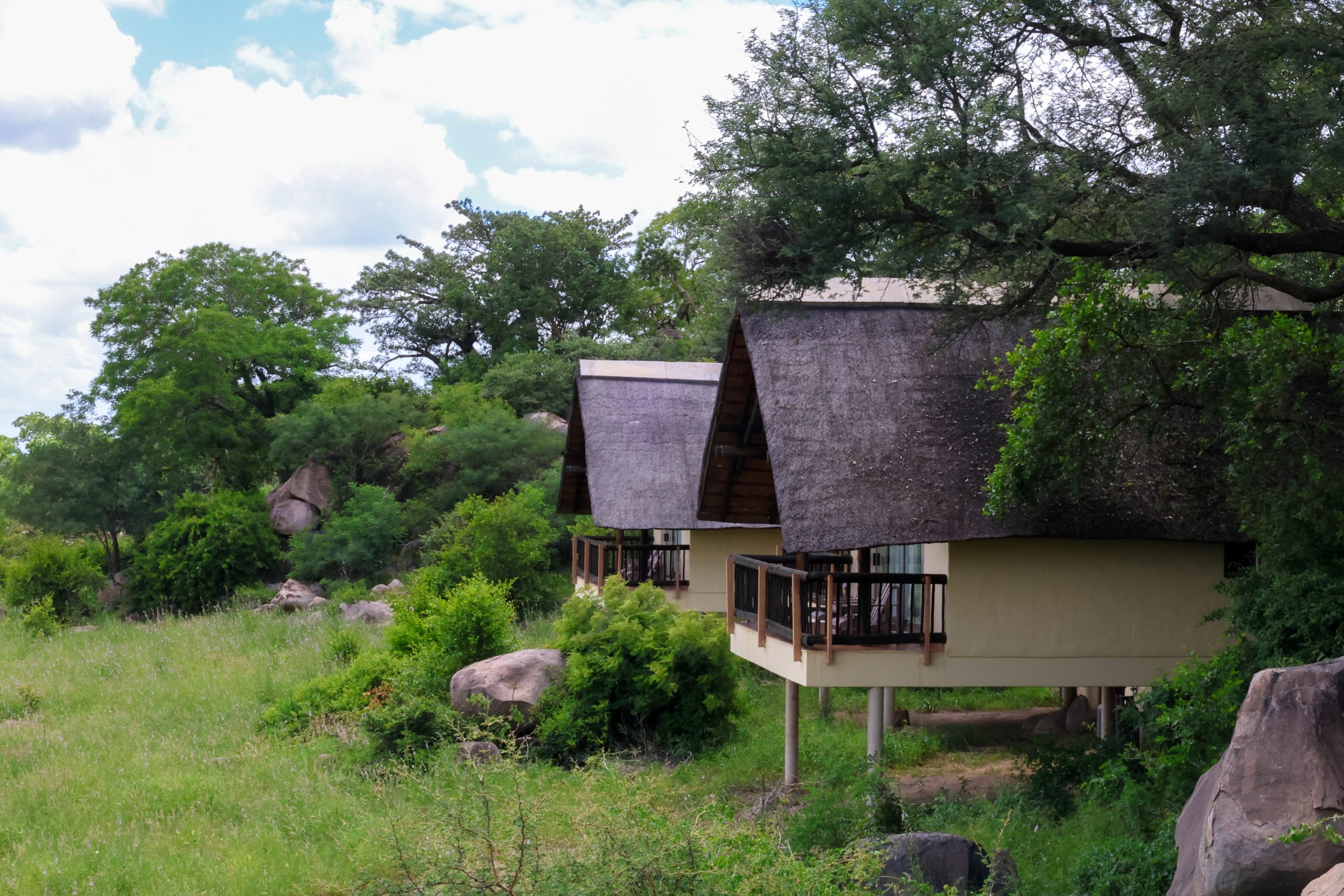 Kruger National Park accommodation safari planning image
