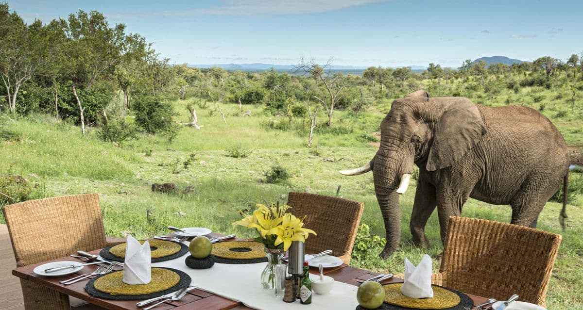 Madikwe vs Sabi Sands safari comparison