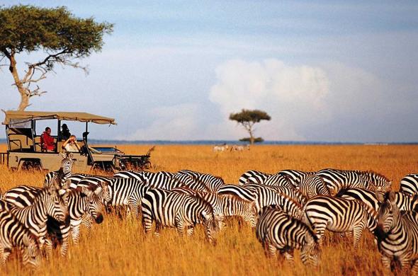 Masai Mara safari landscape with wildlife and open plains in Kenya