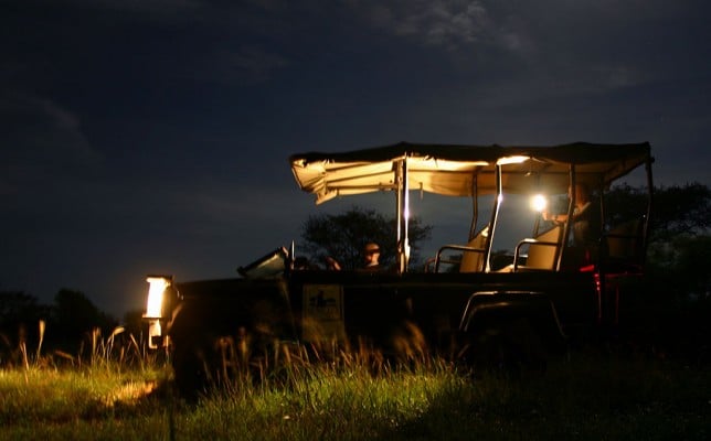Night safari in South Africa