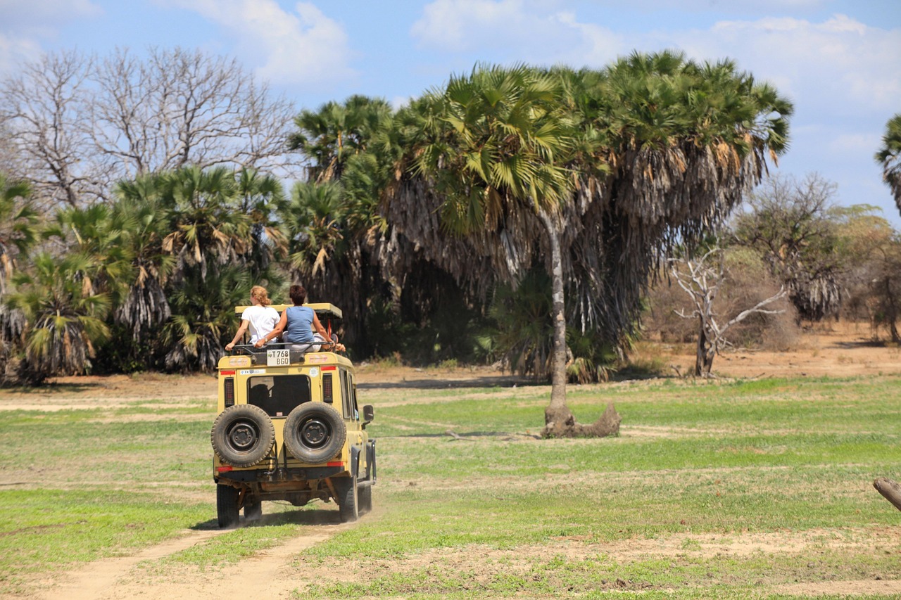 Private safari vs group safari comparison