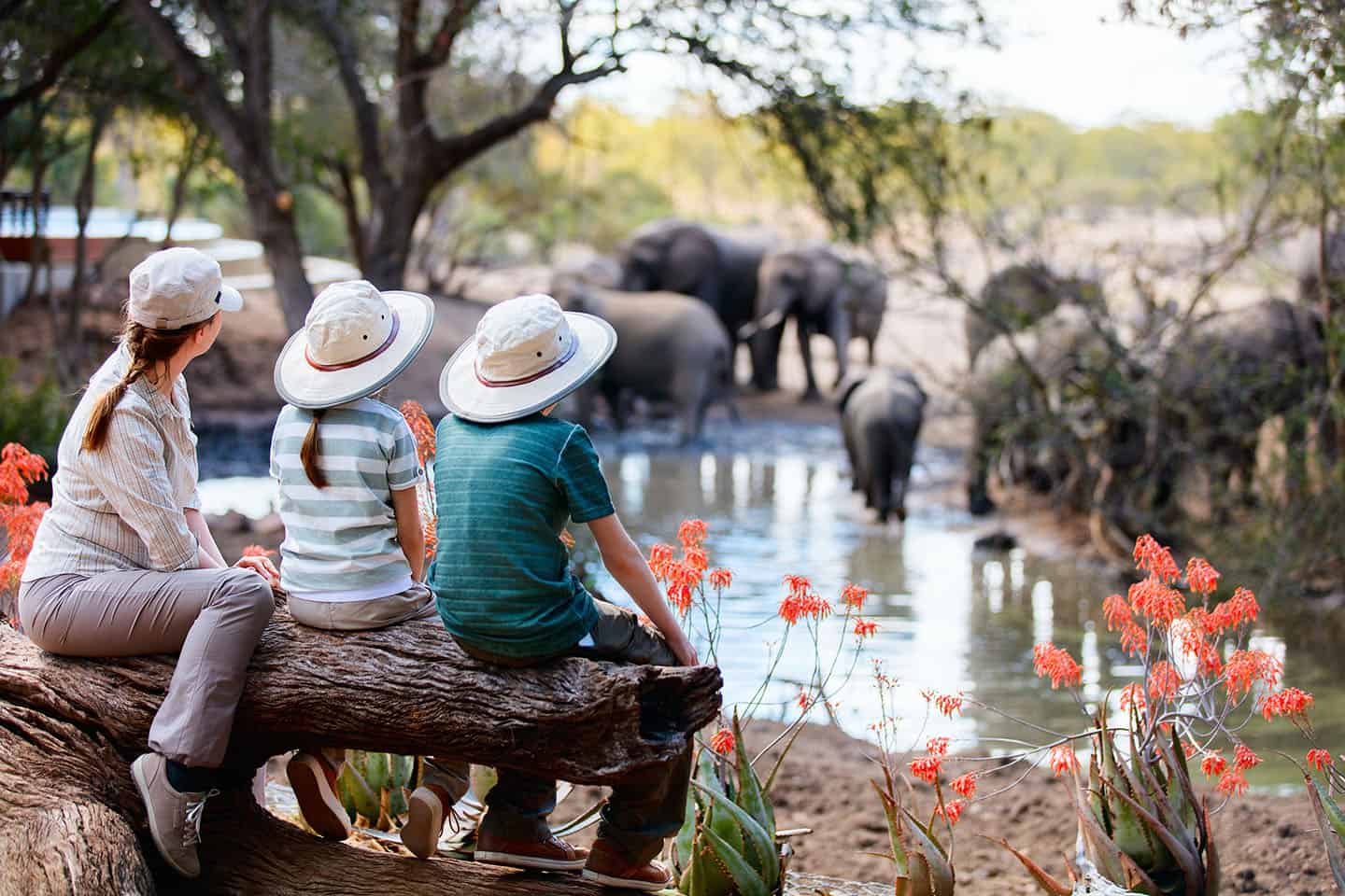 Safari with kids in South Africa