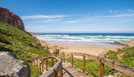 South Africa 14 day itinerary with Cape Town, Garden Route, and safari inspiration