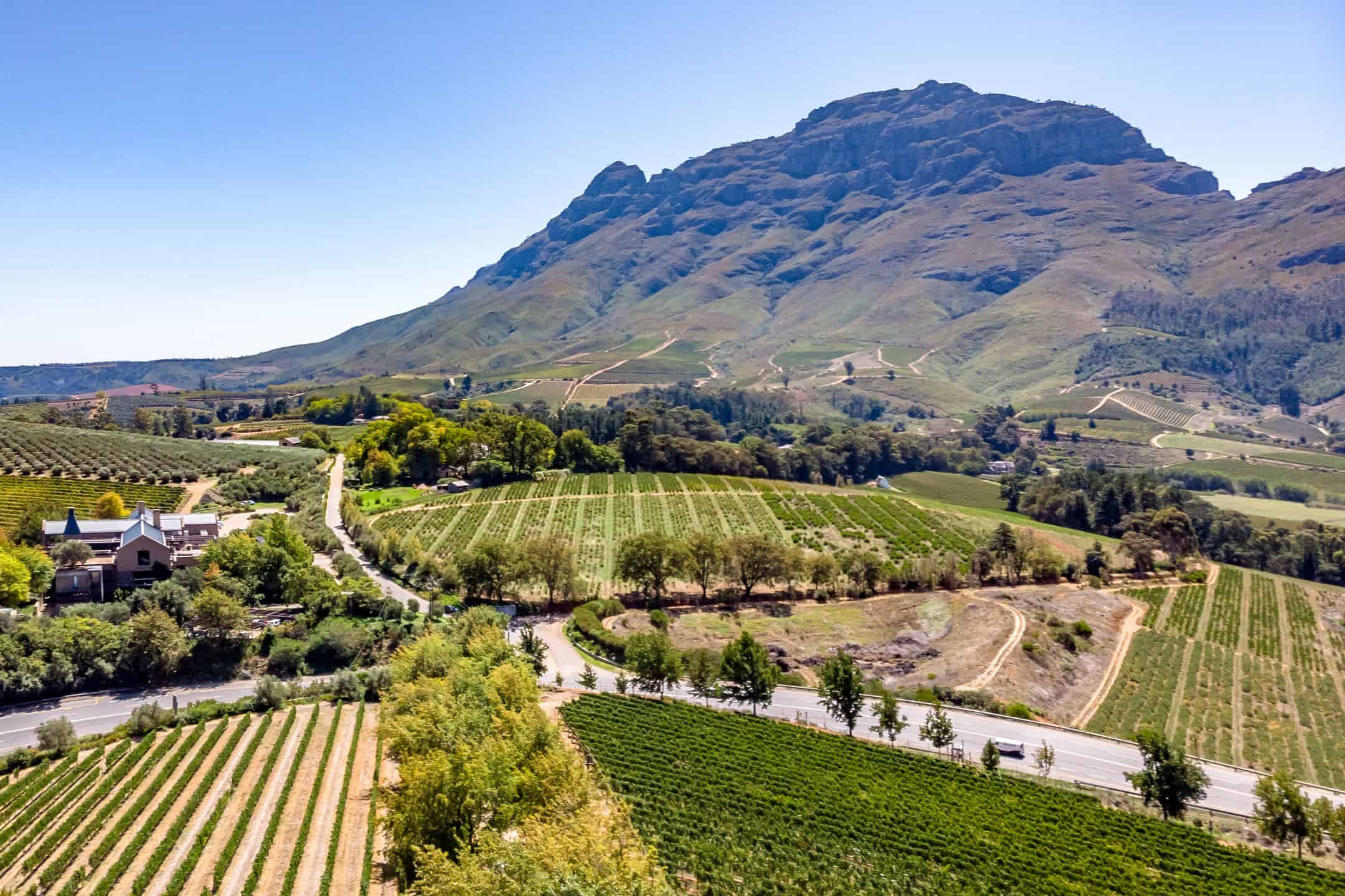 Stellenbosch travel scene with vineyards, mountains, and wine estate atmosphere