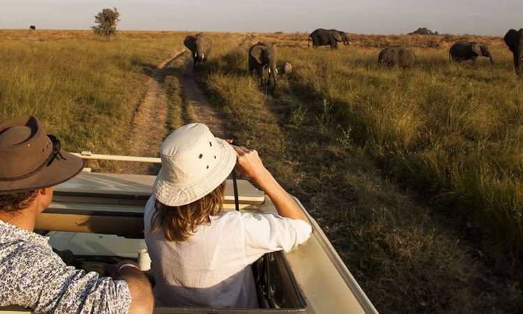 Uganda couples safari with scenic private travel, wildlife, and romantic safari atmosphere