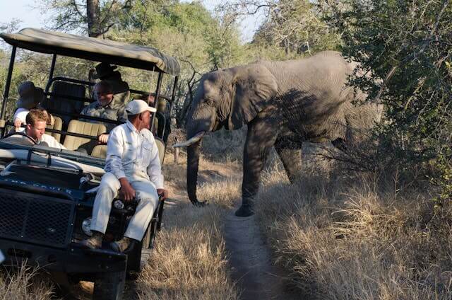 Uganda safari planning atmosphere with wildlife travel, national park scenery, and safari cost expectations